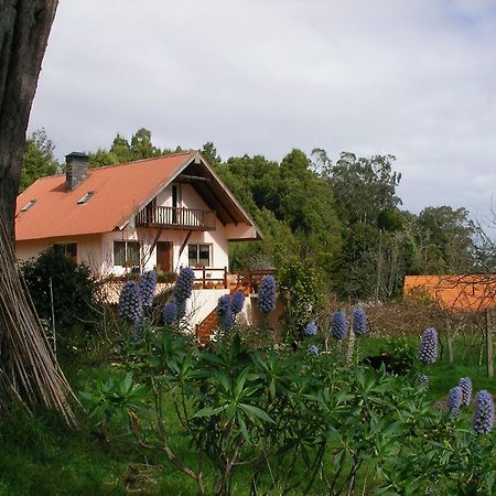 Bio Quinta Do Pantano, Agro Turismo Villa Santo Antonio da Serra ภายนอก รูปภาพ