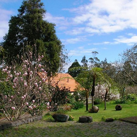 Bio Quinta Do Pantano, Agro Turismo Villa Santo Antonio da Serra ภายนอก รูปภาพ