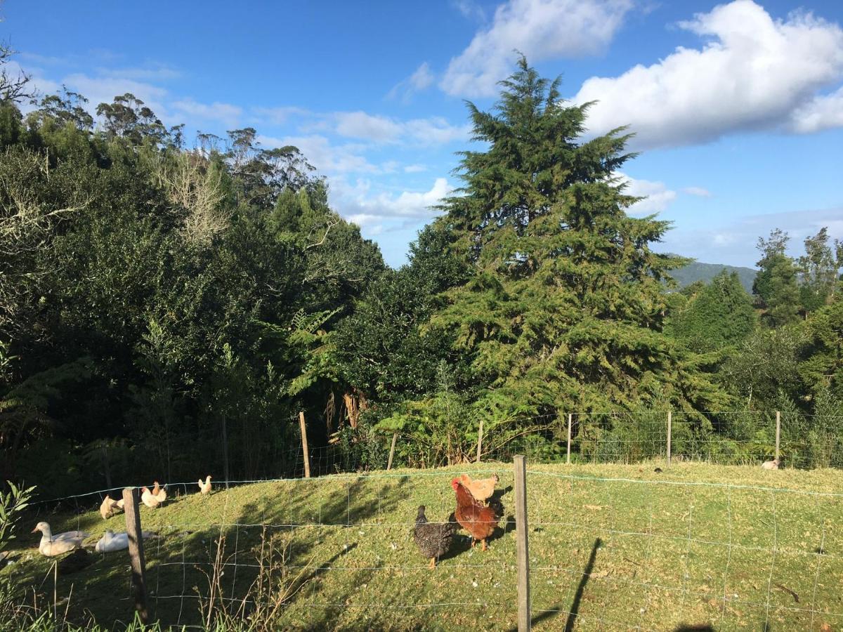 Bio Quinta Do Pantano, Agro Turismo Villa Santo Antonio da Serra ภายนอก รูปภาพ