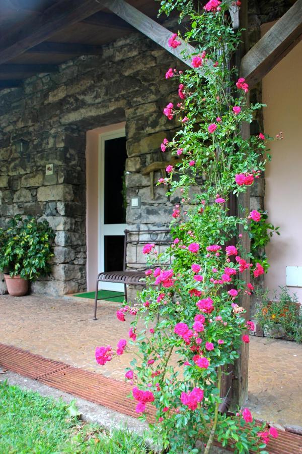 Bio Quinta Do Pantano, Agro Turismo Villa Santo Antonio da Serra ภายนอก รูปภาพ