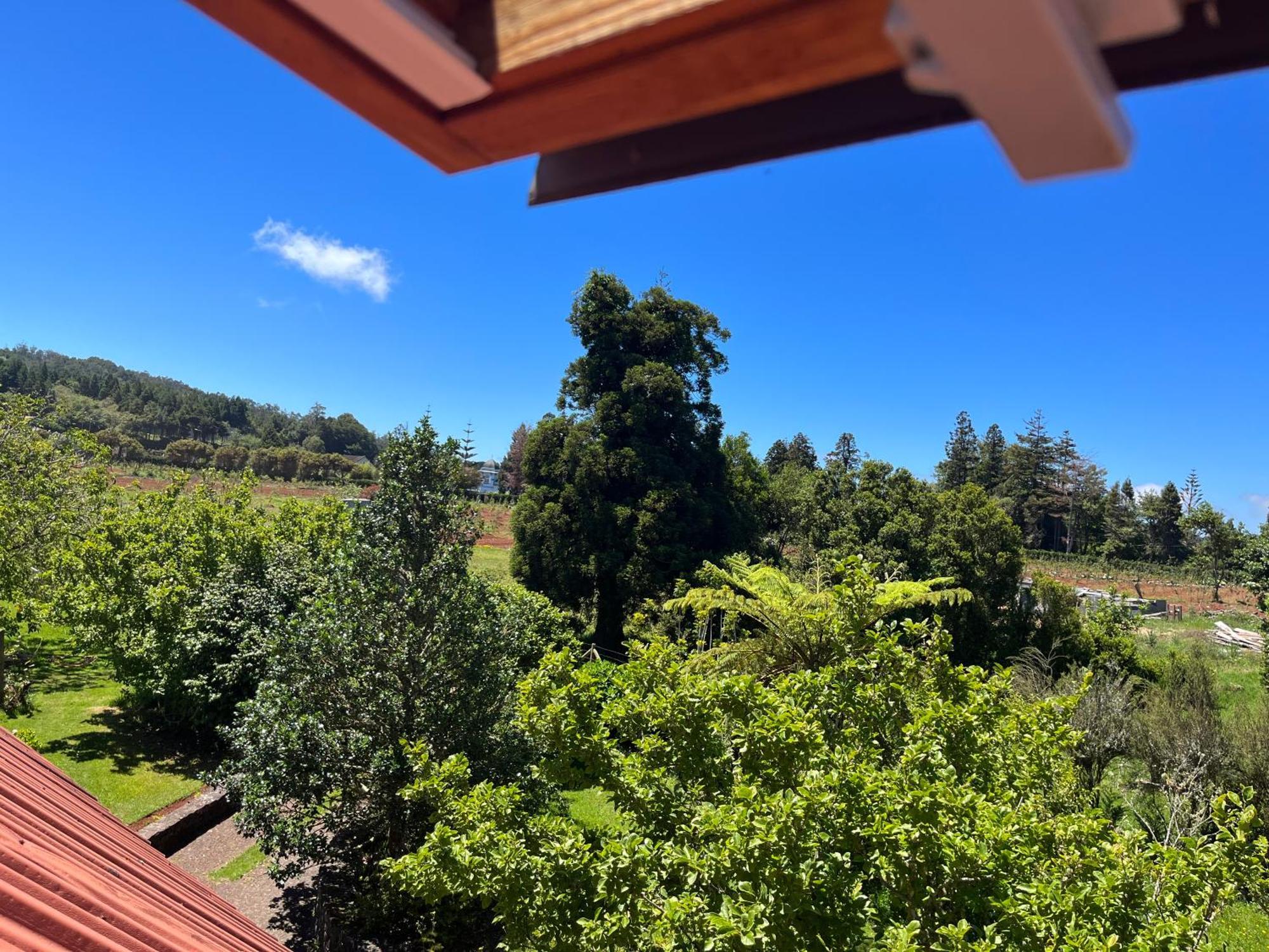 Bio Quinta Do Pantano, Agro Turismo Villa Santo Antonio da Serra ภายนอก รูปภาพ