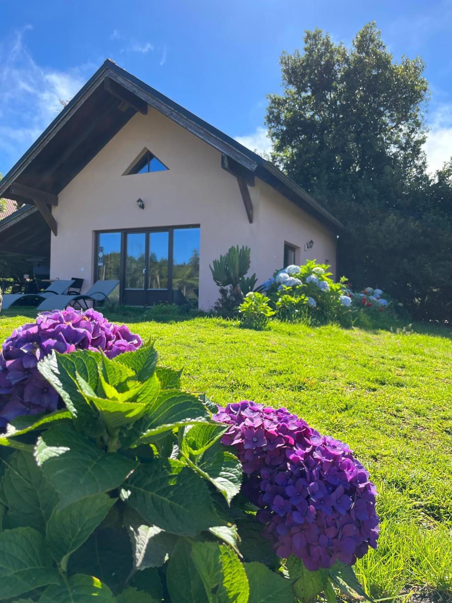 Bio Quinta Do Pantano, Agro Turismo Villa Santo Antonio da Serra ภายนอก รูปภาพ