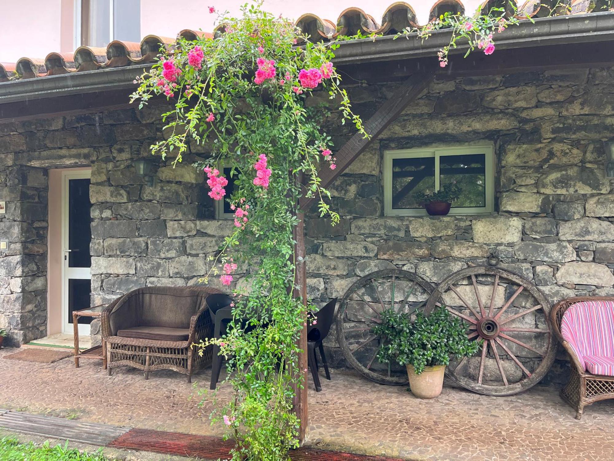 Bio Quinta Do Pantano, Agro Turismo Villa Santo Antonio da Serra ภายนอก รูปภาพ