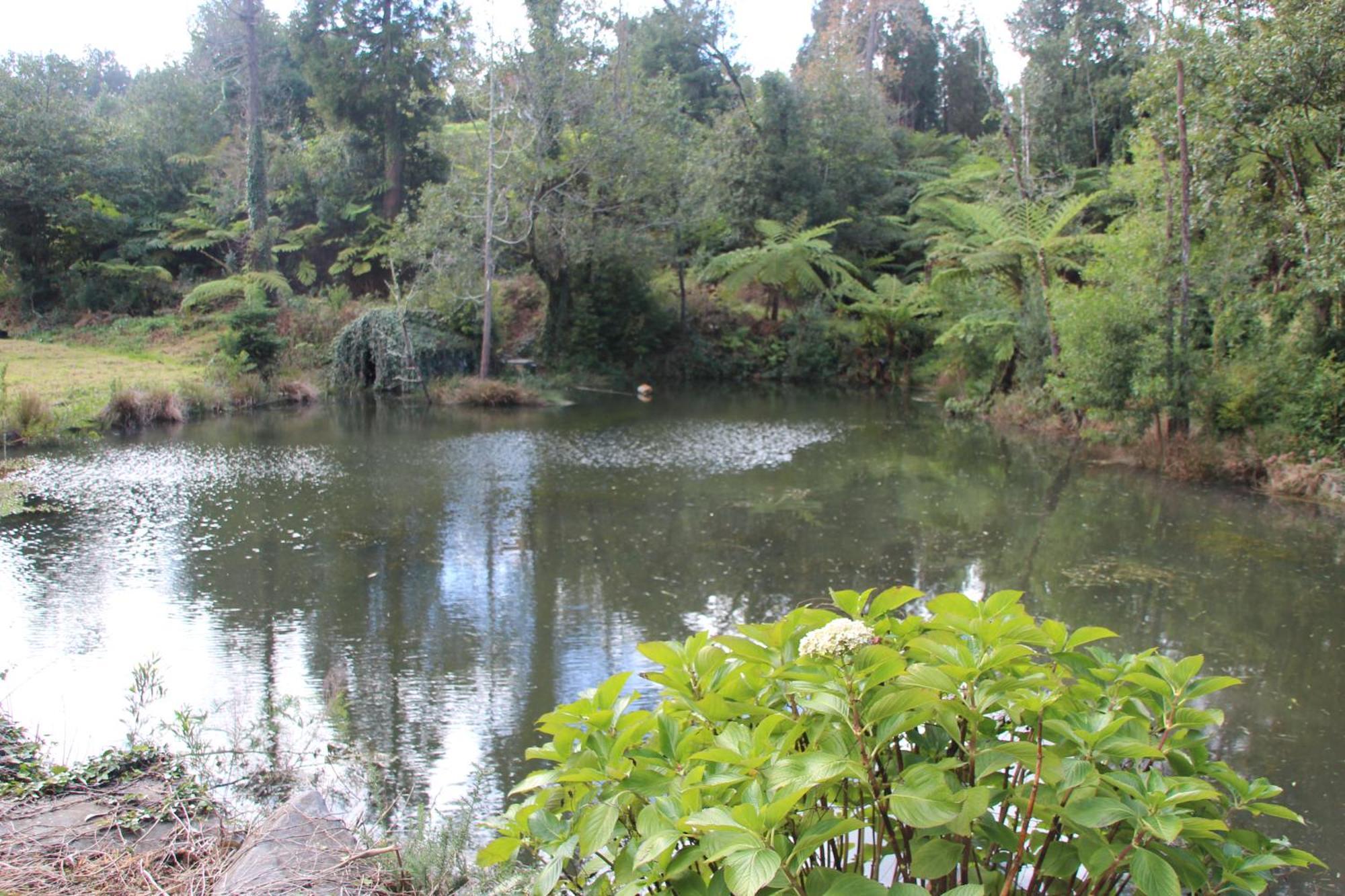 Bio Quinta Do Pantano, Agro Turismo Villa Santo Antonio da Serra ภายนอก รูปภาพ