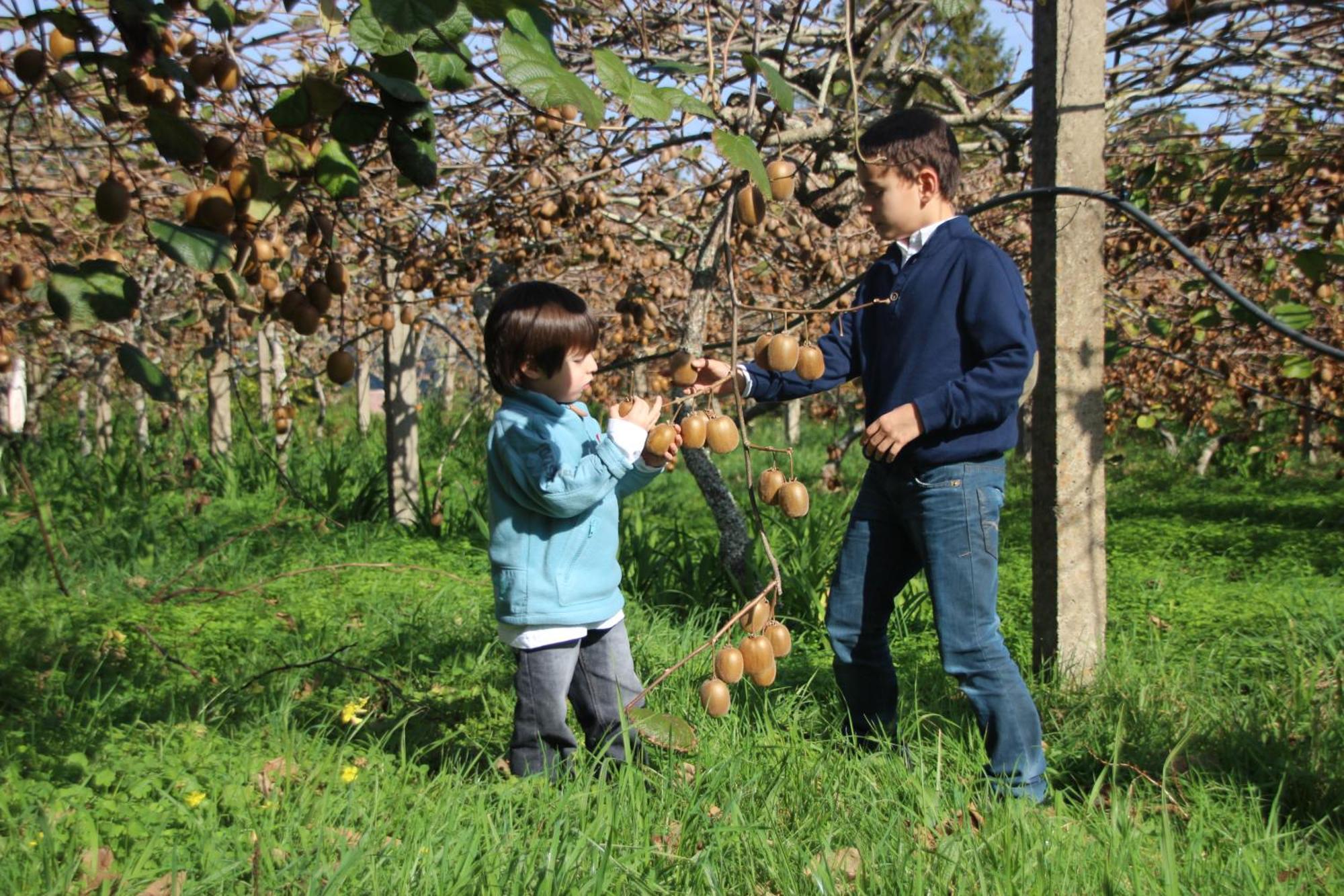 Bio Quinta Do Pantano, Agro Turismo Villa Santo Antonio da Serra ภายนอก รูปภาพ
