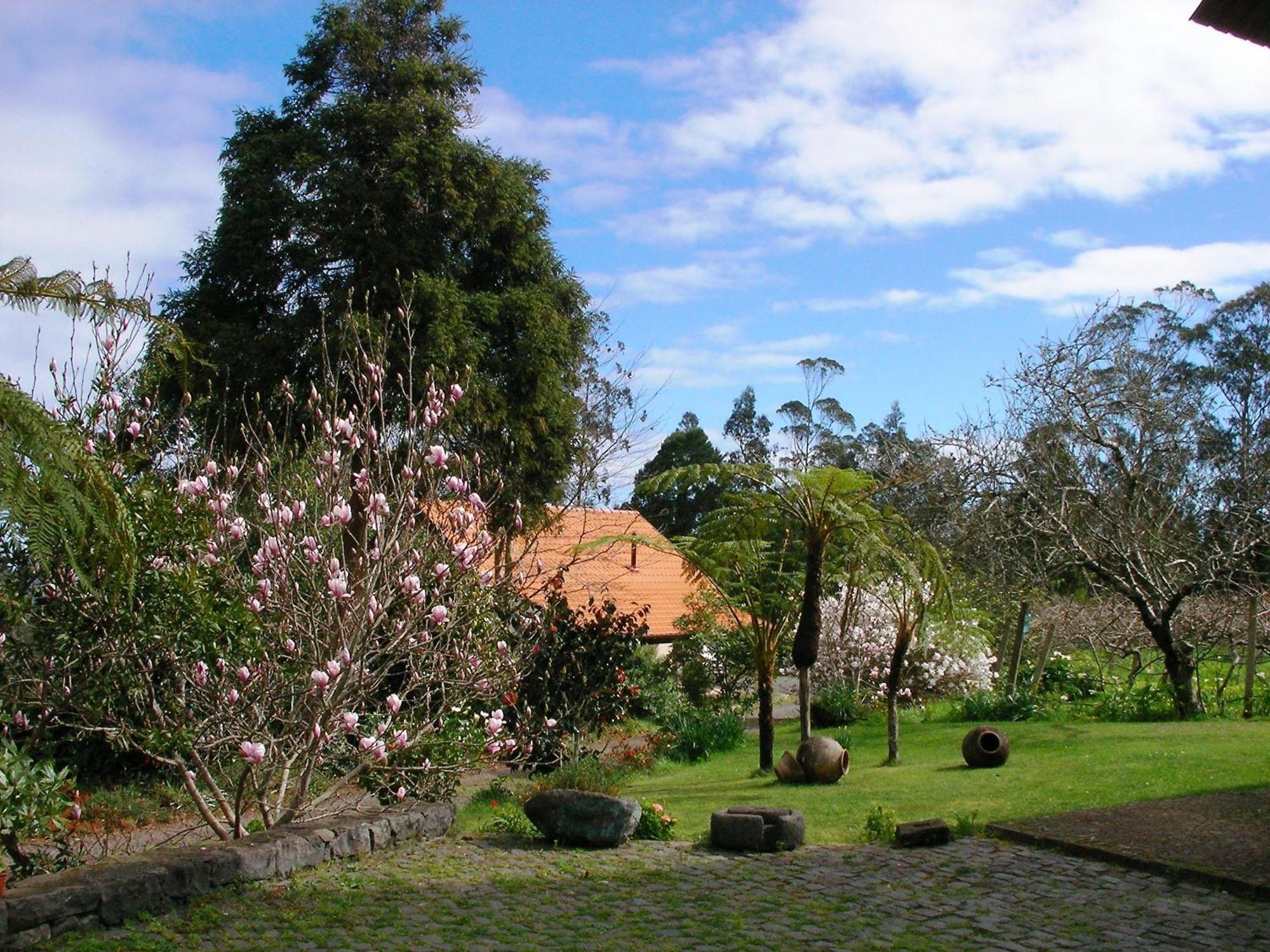 Bio Quinta Do Pantano, Agro Turismo Villa Santo Antonio da Serra ภายนอก รูปภาพ