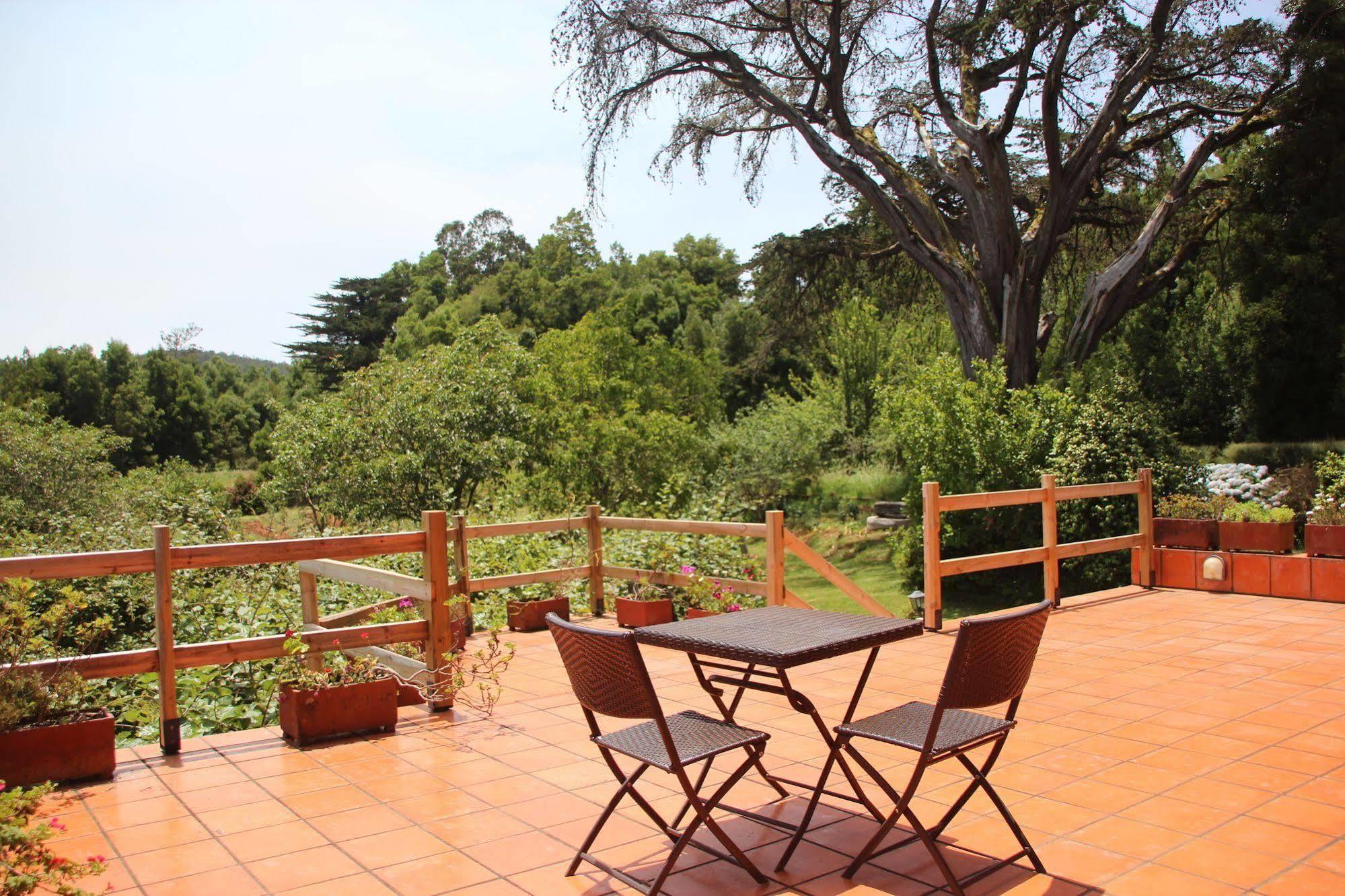 Bio Quinta Do Pantano, Agro Turismo Villa Santo Antonio da Serra ภายนอก รูปภาพ