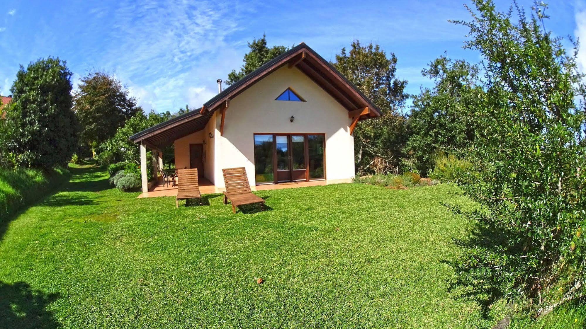 Bio Quinta Do Pantano, Agro Turismo Villa Santo Antonio da Serra ภายนอก รูปภาพ